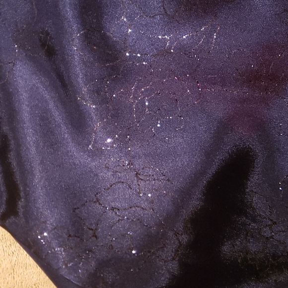 Dark Blue Dress with Sparkling Rose Outlines - Picture 4 of 11